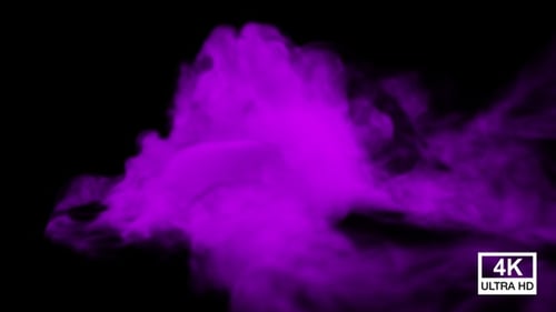 Purple Fluid Smoke Logo Reveal Animation