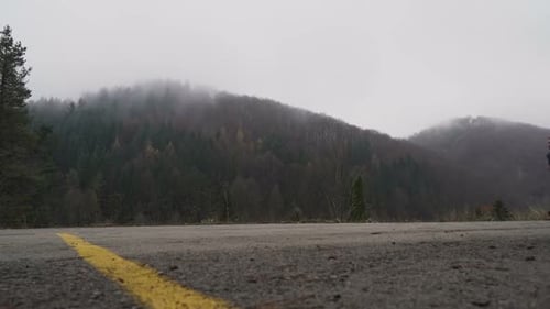Young Man Running in Park on Asphalt Road Against Misty Forest Background