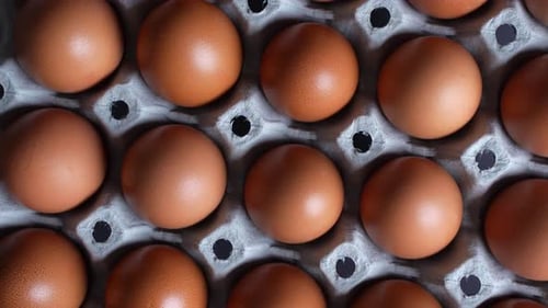 Tray of Eggs 04