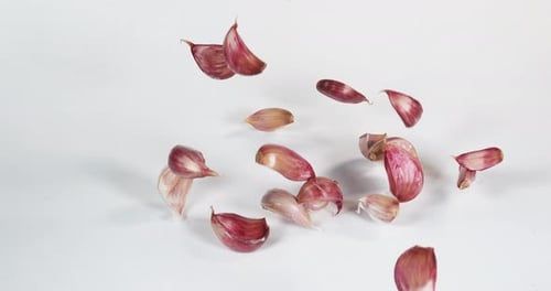 Garlic, allium savitum, Falling against White Background, Slow motion 4K