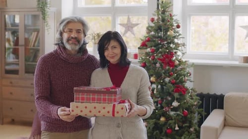 Couple Holds Christmas Presents Near Decorated Tree