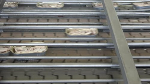 Canned Fish Traveling Down a Conveyor Belt