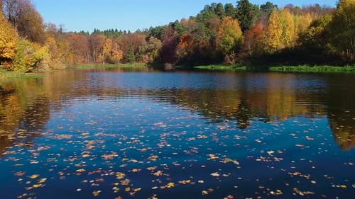 Buntes Herbstwald-Holz auf dem See