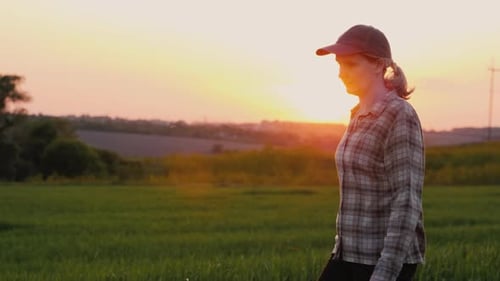 Side View: A Female Farmer Walks Through a Picturesque Field at Sunset