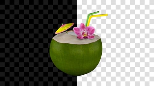 Green Coconut Nut Tropical