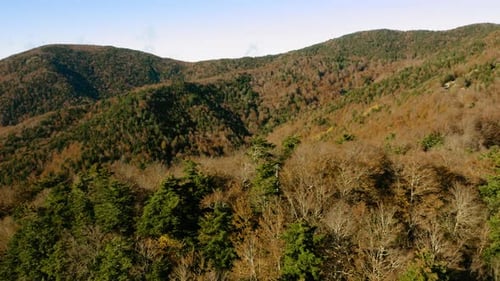 Sila Mountain