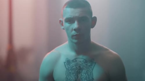 Bald Boxer
