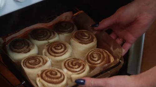 The Woman Puts The Synabons In The Oven For Baking. Close Up Shot.
