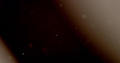 Particles 044