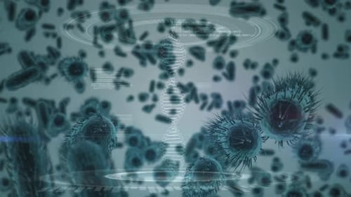 Proliferación bacteriana rodeada de moléculas y ADN
