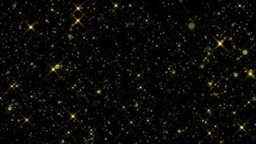 8k Glitter Gold Dust