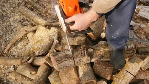 An experienced lumberjack cuts a tree with a chainsaw. Slow motion