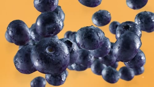 Fresh Blueberries Falling with Water Drops