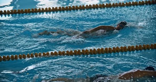 Swimmers Dive and Swim in Indoor Competition Pool