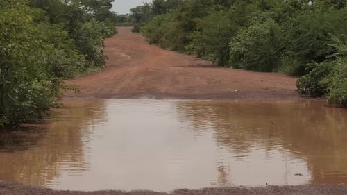 Africa Mali Road Trees And Puddle