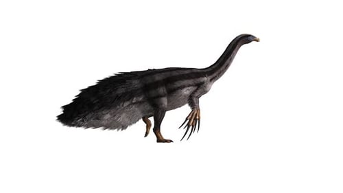 Dinosaurier, der wie ein Huhn läuft