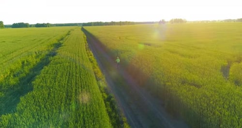Aerial View on Young Boy, That Rides a Bicycle Thru a Wheat Grass Field on the Old Rural Road