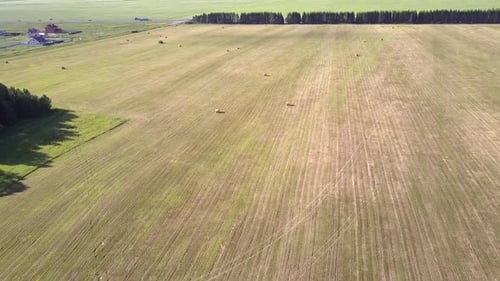 Aerial Packaged Hay Bales on Field Among Forests By Road