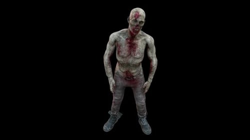 Zombie Front View
