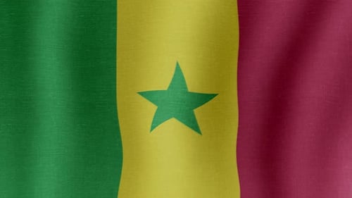 Realistic Waving National Flag of Senegal