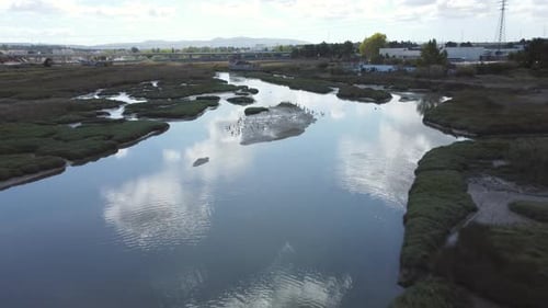 Aerial view showing beautiful marshland with resting flock of birds on island - Cloud and sky reflec