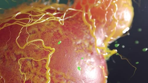 3D Microscopic Cellular Organism Animation with Growing Tendrils