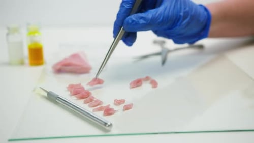 Close Up of Hand Manipulating Tissue in Laboratory