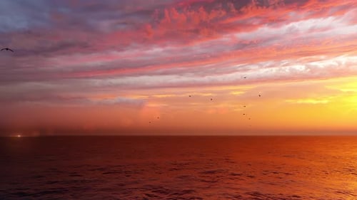 Vibrant Ocean Sunset with Flying Birds