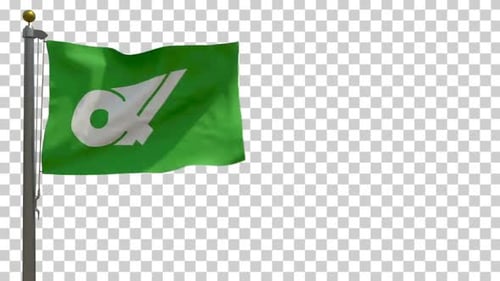 Realistic Green Flag Waving Animation with Custom Logo Placeholder
