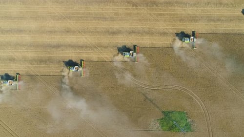 Top Down View of Harvester Machine Working in Wheat Field . Combine Agriculture Machine Harvesting