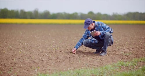 Farmer Examining Agricultural Field While Working on Digital Tablet Computer at Farm.