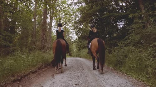 Slow Motion of Two Equestrians Mounted in Horses in the Middle of the Forest