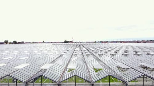 Greenhouse Plantation with Greenery