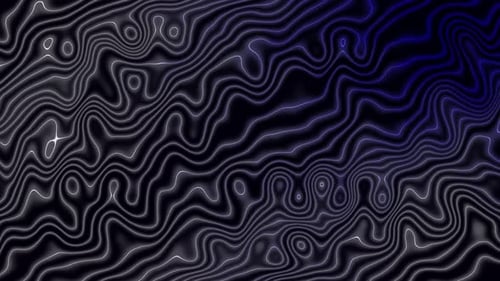 Abstract Topographic Flowing Lines Animated Background Loop