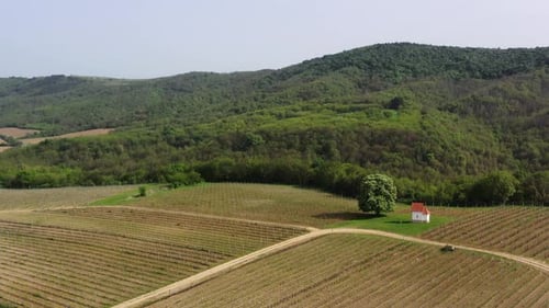 Aerial View of Vineyard with Small Chapel