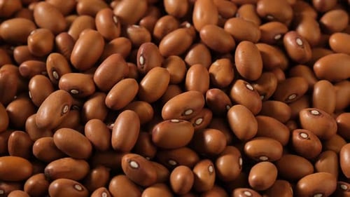 Pile of Tan Kidney Beans Close Up