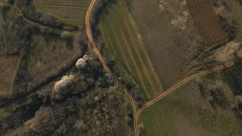 Vue aérienne de la campagne avec des champs de cultures et des forêts de pins au printemps