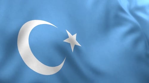 Drapeau du Turkestan oriental/Drapeau ouïghour
