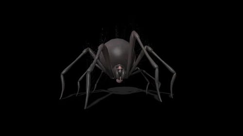 Aranha ociosa