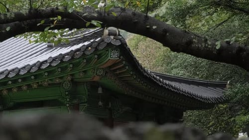 An old Korean traditional building surrounded by nature on a rainy day.