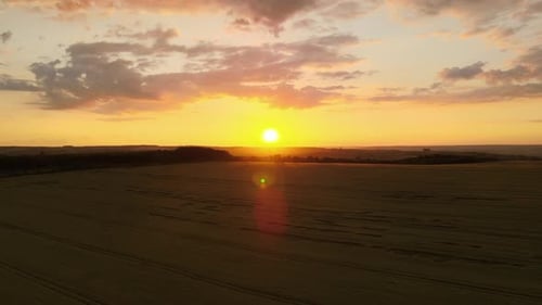 Aerial Landscape View of Yellow Cultivated Agricultural Field with Ripe Wheat on Vibrant Summer