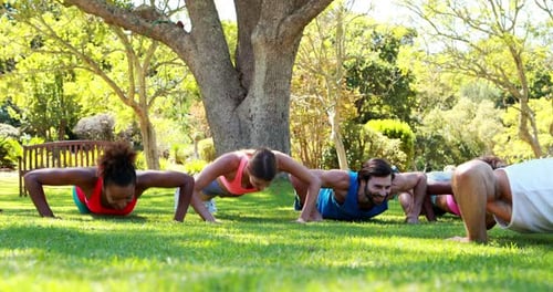 Group Doing Pushups in Park on Sunny Day