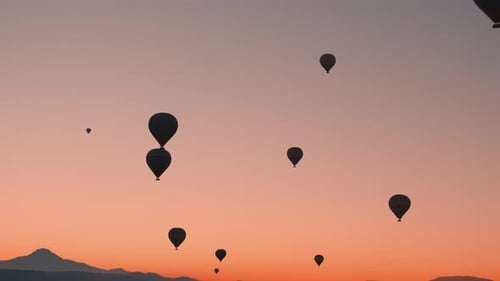 Hot Air Balloons Float in Sunrise Sky
