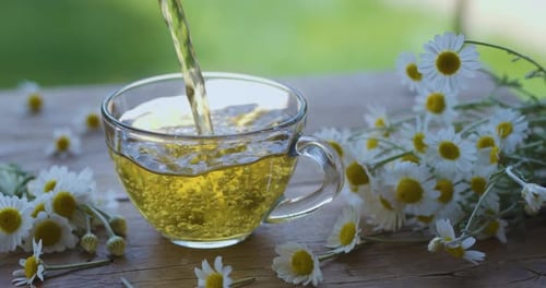 Pouring Chamomile Tea with Daisies and Green Background