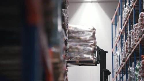 Forklift Moves Pallet of Goods in Warehouse