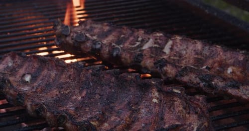 Côtes de porc cuites sur un barbecue