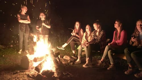Friends Gather Around Campfire Roasting Marshmallows at Night