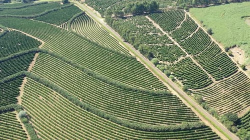 Rural landscape aerial view. Nature scenery