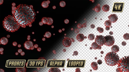 3D CoronaVirus Fall Loop Animation - Transparent Background - COVID-19, SARS, Pandemic, Public Healt