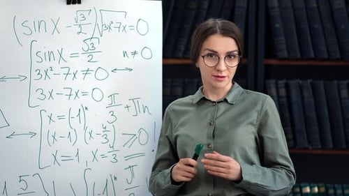 Woman Teacher Business Mentor Explaining Mathematical Formula on Whiteboard Lecture at Library